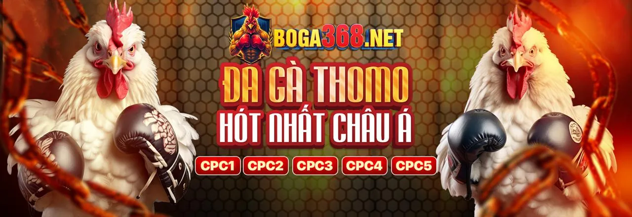 Đá Gà Trực Tuyến Wstar77