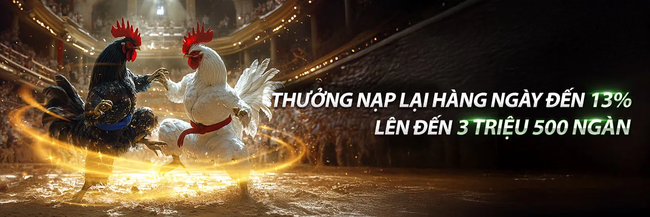 Hình ảnh chính về ứng dụng Wstar77 đăng nhập trên điện thoại